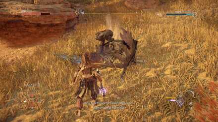 Go to the Base of the Promontory