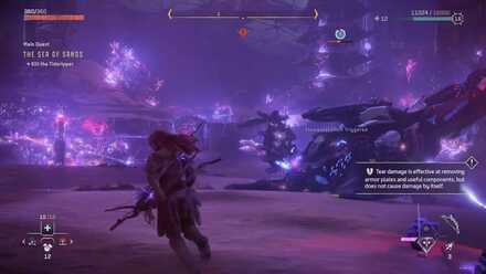 Horizon Forbidden West - Paralyzed State.jpg