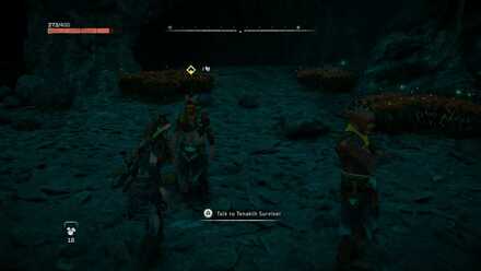 Talk to the Grotto Survivors