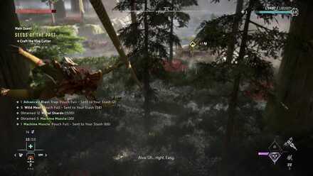 Horizon Forbidden West - Zipline