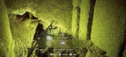 RelicRuins_GreenShine Large.jpeg