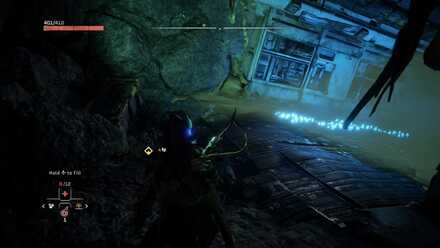 Loot the Crate and Return to Silga