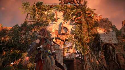 CodedWall Medium.jpeg