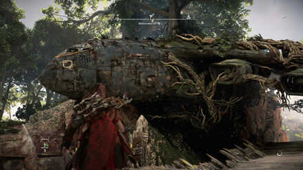 The Memorial Grove Collectibles Horizon Forbidden West