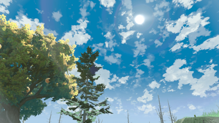 Strong Sunlight Weather