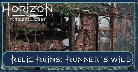 relicRunRunnerWildBanner.jpg