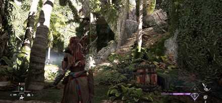 StaircaseHere Medium.jpeg