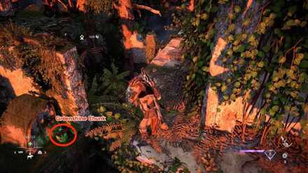 GreenShineLcoation Medium.jpeg