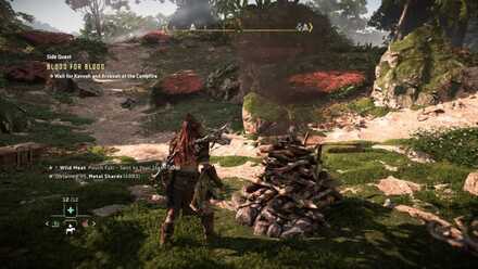 Wait for Kavoh and Arrokeh