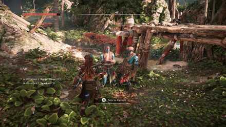 Talk to Kavvoh and Arrokeh