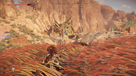 Shining Wastes North Find the Outpost Leader