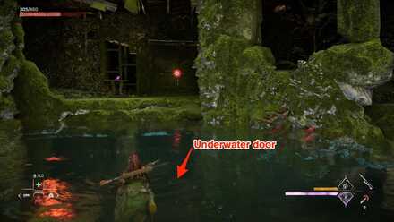 SwimDownThis_Way Large.jpeg