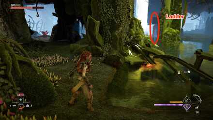 LadderHere Large.jpeg