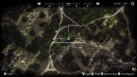 RunnersWildZoom Medium.jpeg