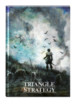 Triangle Strategy Notebook.png