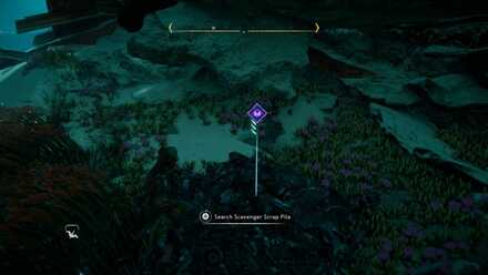 Investigate the Scrap Piles