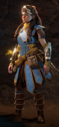 Horizon Forbidden West Carja Wanderer Outfit