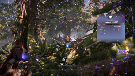 Raintrace North Find the Outpost Leader