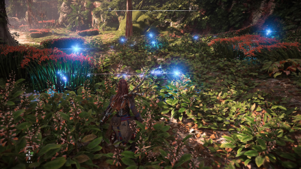 Raintrace North Tips and Strategies