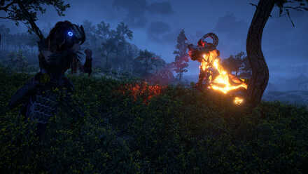 Horizon Forbidden West - Fire Damage.jpg