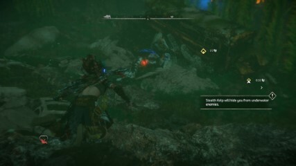 Swim Inside the Lake to find the Land-god