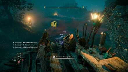 Investigate the Rebel Camp