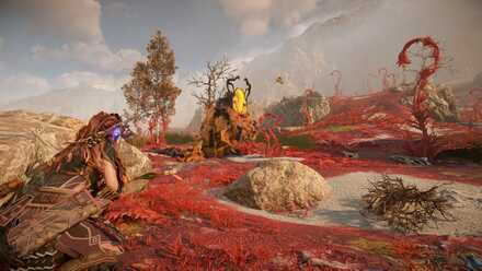 Horizon Forbidden West - Rupture Sacs.jpg