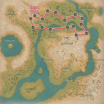 Pokemon Legends Arceus - Apricorn Farming Route