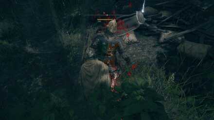 Backstab Enemy Elden Ring.jpg