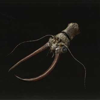 Great Dragonfly Head Icon