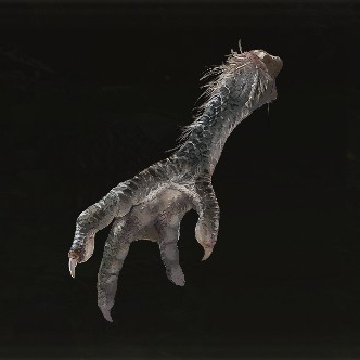 Four-Toed Fowl Foot Icon