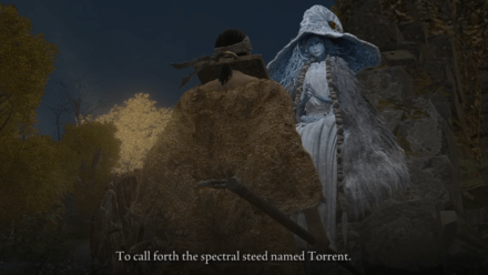 Meeting Ranni the Witch