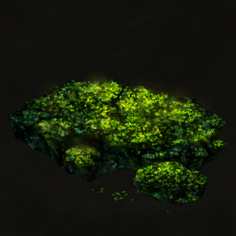 Cave Moss Icon