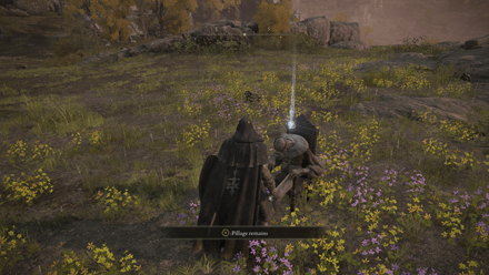 Elden Ring - Somber Smithing Stone 1 World View