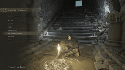 Elden Ring - Rest at a Site of Grace