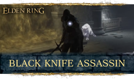 Elden Ring - Black Knife Assassin