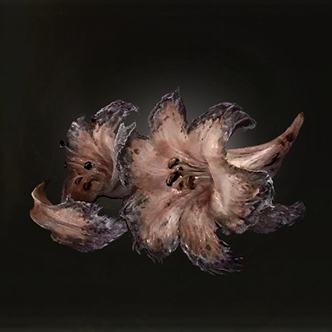 Faded Erdleaf Flower Icon