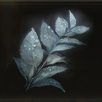 Dewkissed Herba Icon