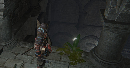 Elden Ring - Grave Glovewort