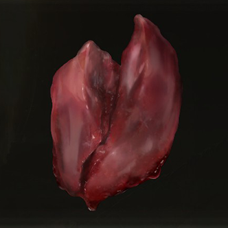 Beast Liver Icon