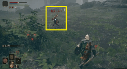 Elden Ring - Invaders