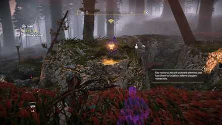 Kill the Clamberjaws