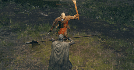 Looted From Defeating Enemies