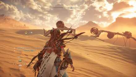 Meet Delah at the Arches