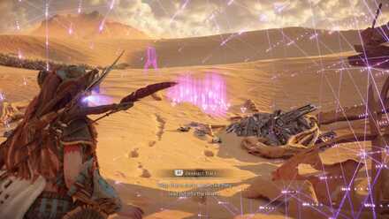 Search and Folllow Boomer