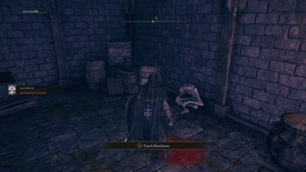 Elden Ring - Nomadic Warrior