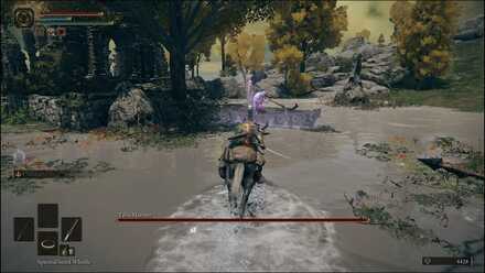 Elden Ring - Tibia Mariner