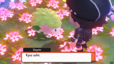Shaymin in Flower Paradise