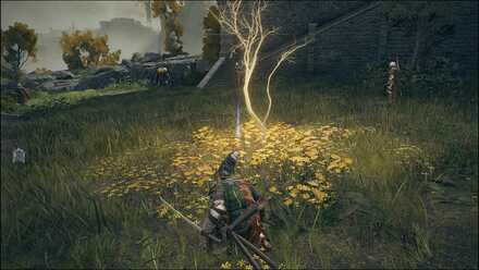 Elden Ring - Fort Haight Golden Seed