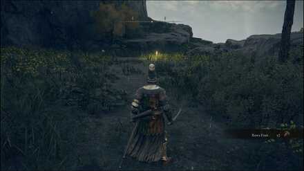 Elden Ring - Fort Haight Site of Grace